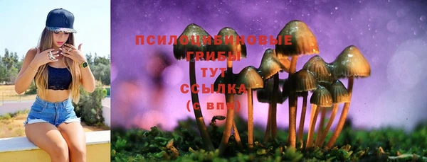 кристаллы Абаза