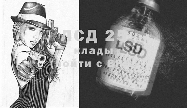 PSILOCYBIN Абдулино