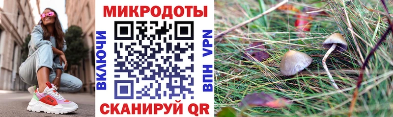 OMG зеркало Алдан Псилоцибиновые грибы мицелий